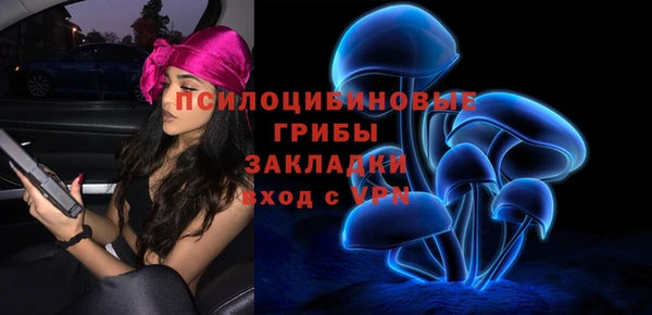 a pvp Михайловск