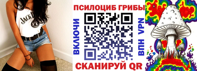 Псилоцибиновые грибы мицелий  Пойковский 