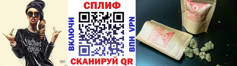 Конопля сатива  купить наркотик  Пойковский 